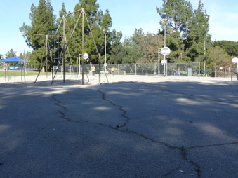 Enlarge photo 54