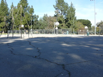 Enlarge photo 55