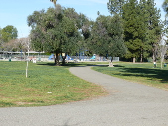 Enlarge photo 65