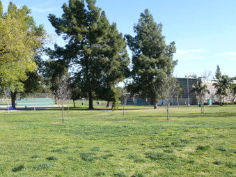 Enlarge photo 66