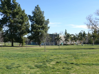 Enlarge photo 67