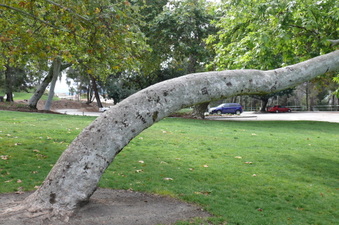 Enlarge photo 41