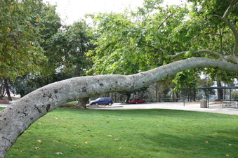 Enlarge photo 42