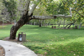 Enlarge photo 49