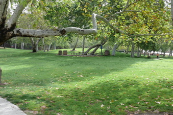 Enlarge photo 50