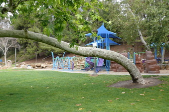 Enlarge photo 55