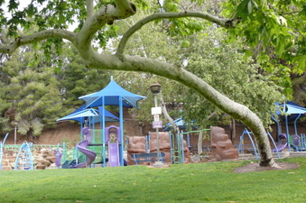 Enlarge photo 57