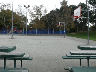 Enlarge photo 30