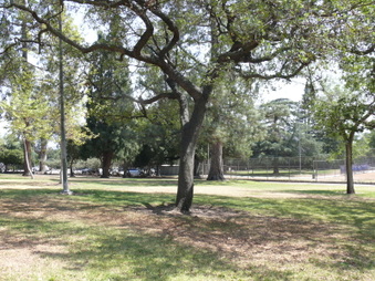 Enlarge photo 11
