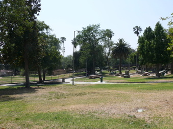 Enlarge photo 14