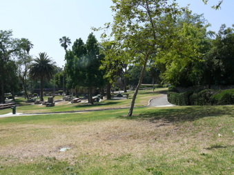 Enlarge photo 15