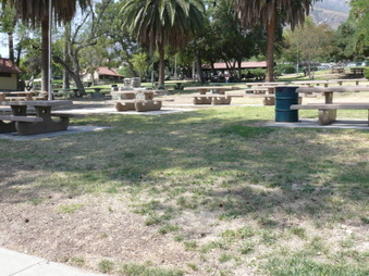 Enlarge photo 37