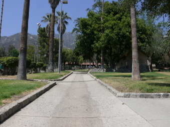 Enlarge photo 43