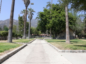 Enlarge photo 44