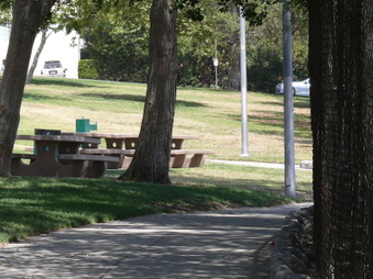 Enlarge photo 49