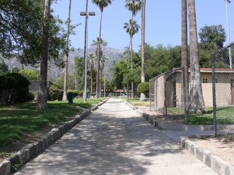 Enlarge photo 58