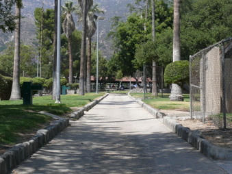 Enlarge photo 59