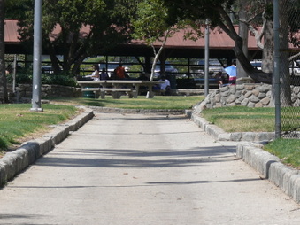 Enlarge photo 61