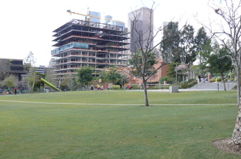 Enlarge photo 30