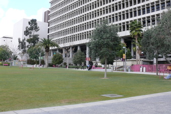 Enlarge photo 37