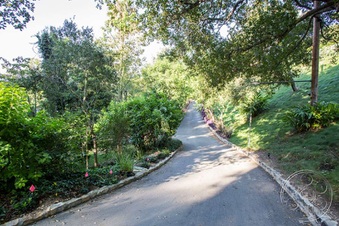Enlarge photo 80