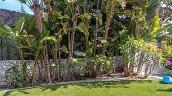 Enlarge photo 31