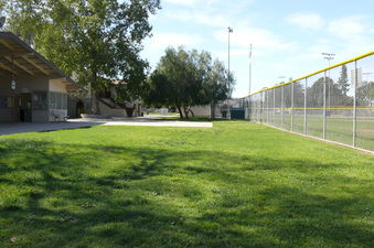 Enlarge photo 52