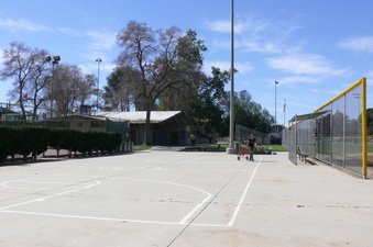 Enlarge photo 65