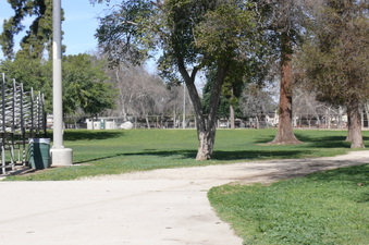 Enlarge photo 67