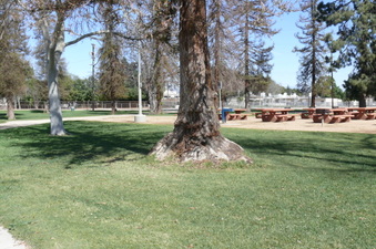 Enlarge photo 69