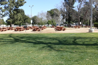 Enlarge photo 71