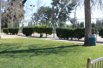 Enlarge photo 73