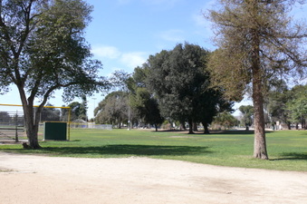 Enlarge photo 74