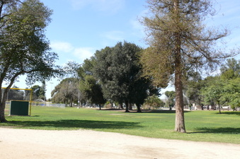 Enlarge photo 75