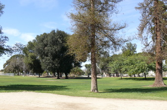 Enlarge photo 76