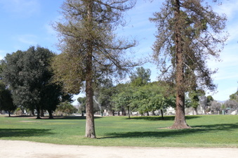 Enlarge photo 77