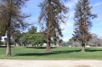 Enlarge photo 78