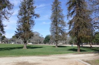 Enlarge photo 79