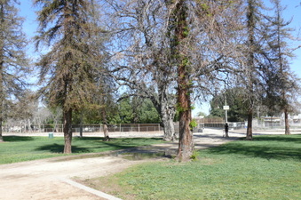 Enlarge photo 80