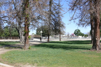 Enlarge photo 81