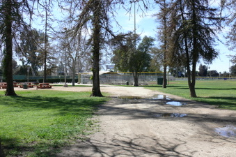 Enlarge photo 82