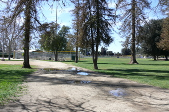 Enlarge photo 83