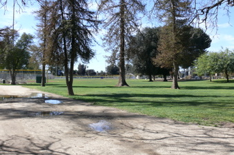 Enlarge photo 84