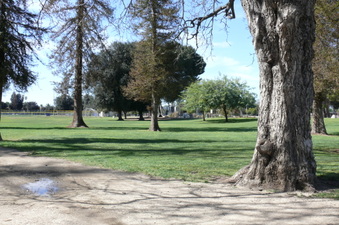 Enlarge photo 85