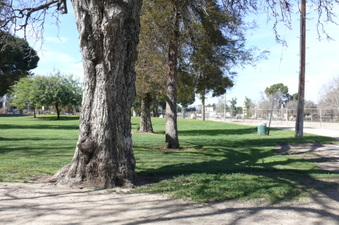 Enlarge photo 86