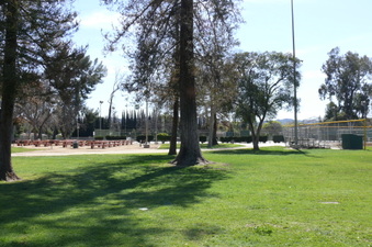Enlarge photo 88