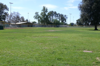 Enlarge photo 92