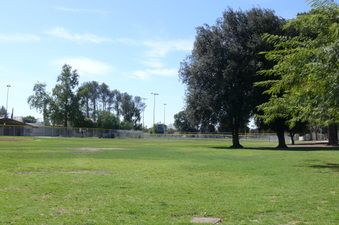 Enlarge photo 93