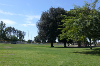 Enlarge photo 94