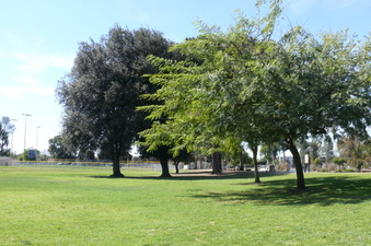 Enlarge photo 95